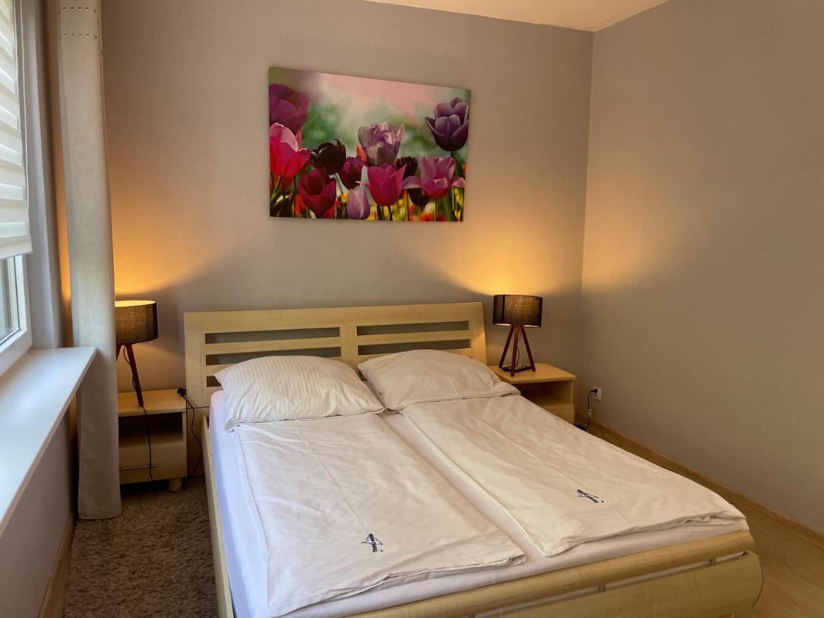 Wolin-Travel Apartament Dom Przy Parku 미엥지즈드로예 외부 사진